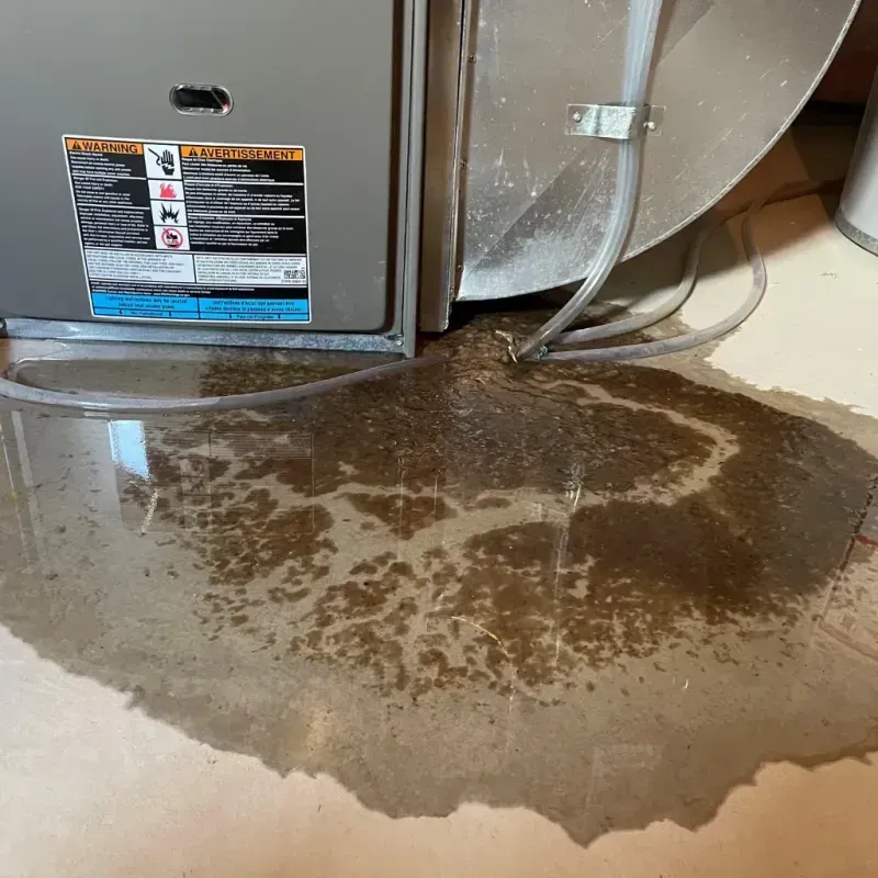 Appliance Leak Cleanup in Lathrop, MO